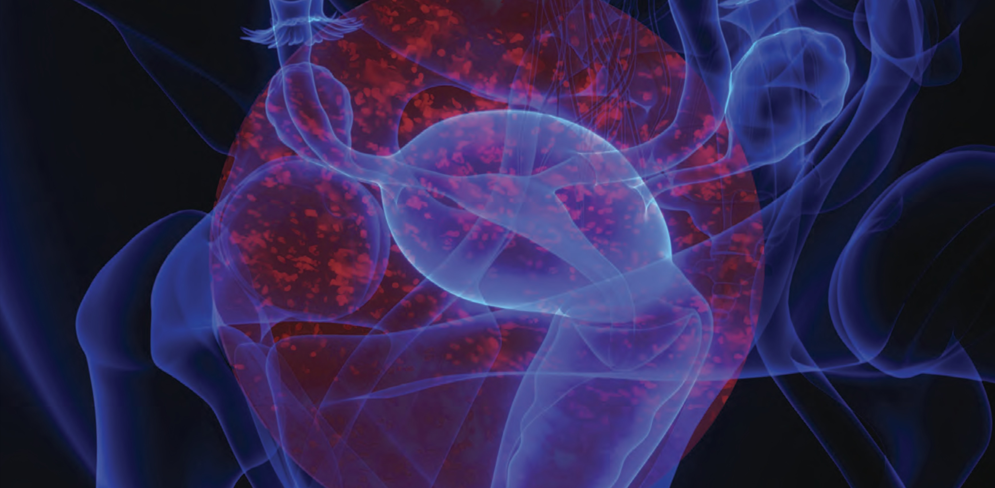 The Journal of Pediatric Case Reports