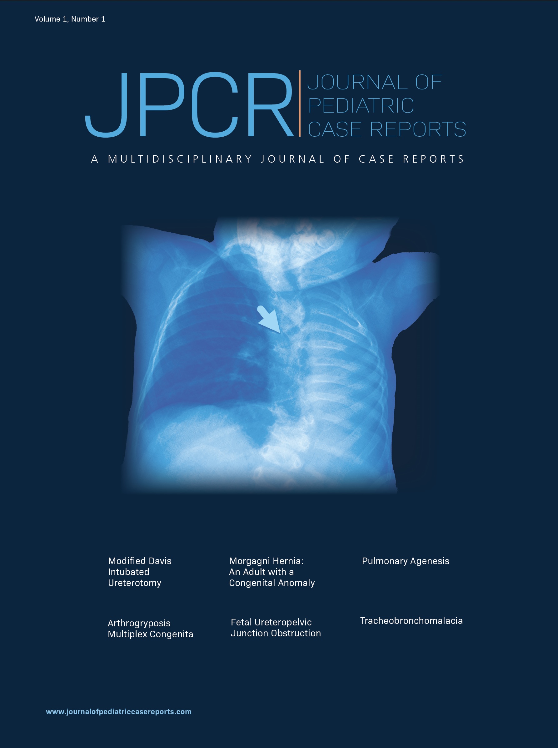 Volume 1,  Issue 1