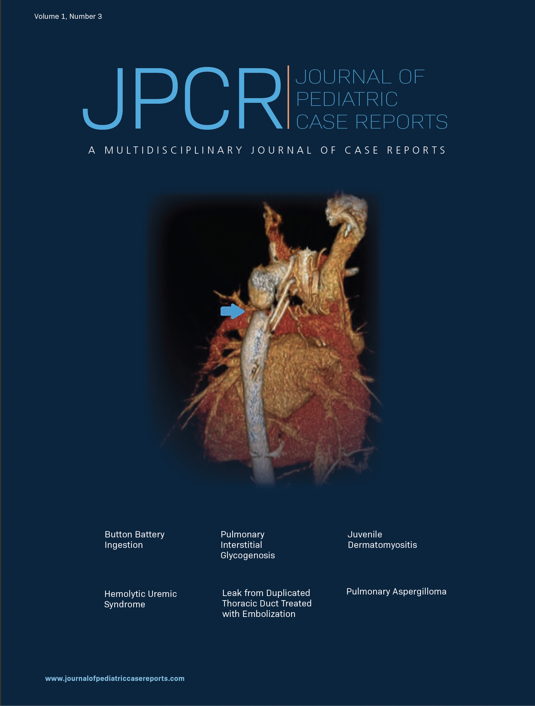 Volume 1, Issue 3