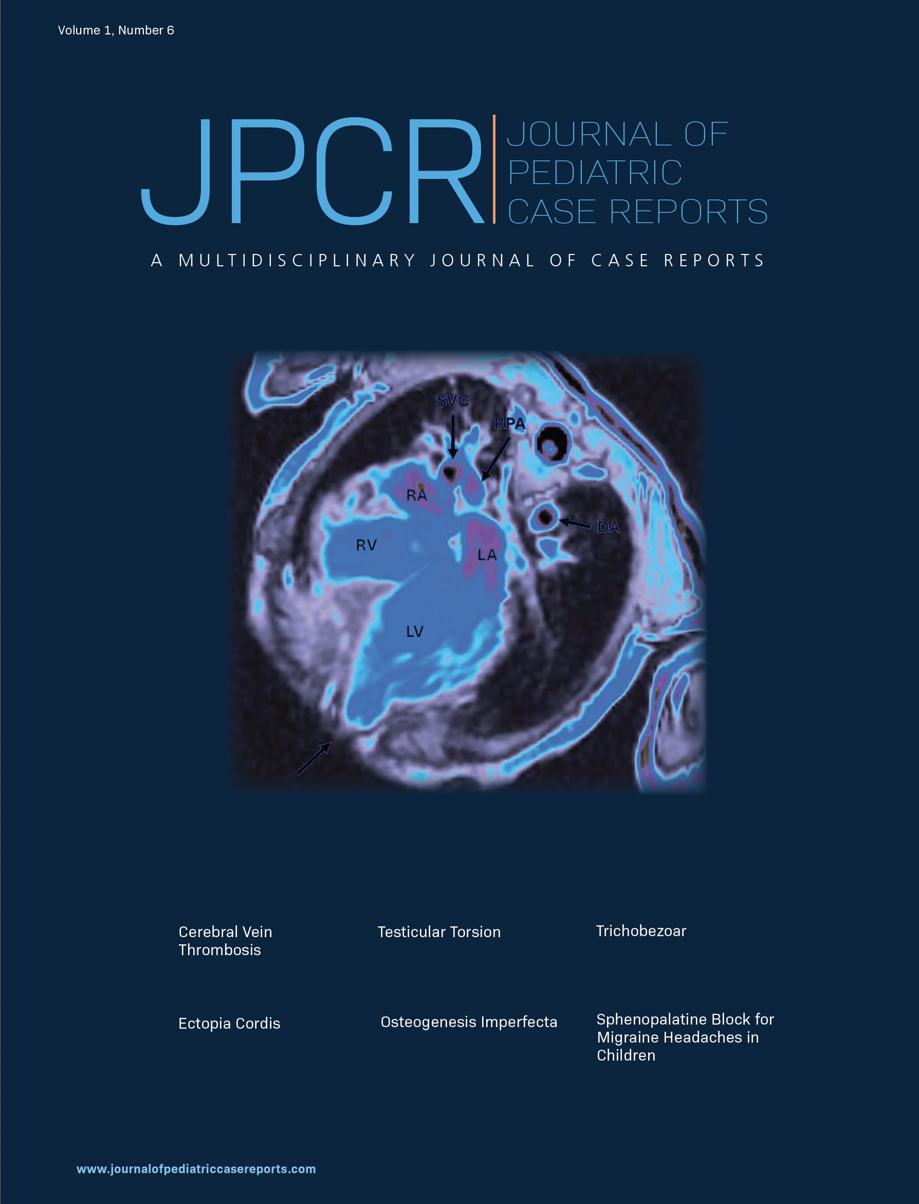 Volume 1, Issue 6